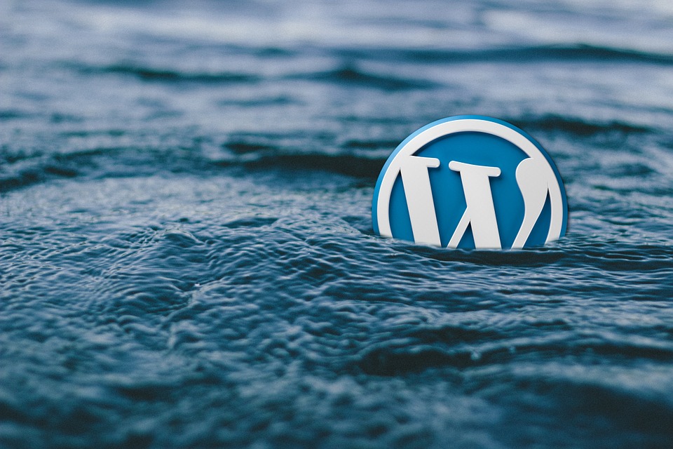 Come funziona WordPress, tempi, tema, funzioni, difficoltà, versione, scaricare WordPress